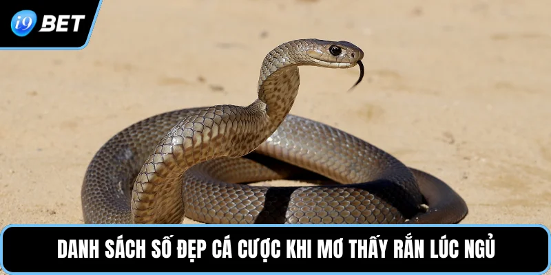 Danh sách số đẹp cá cược khi mơ thấy rắn lúc ngủ