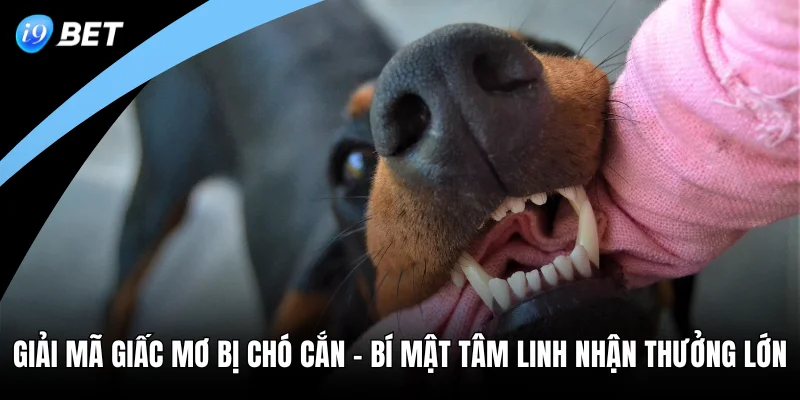 Giải Mã Giấc Mơ Bị Chó Cắn - Bí Mật Tâm Linh Nhận Thưởng Lớn