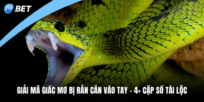 Giải Mã Giấc Mơ Bị Rắn Cắn Vào Tay - 4+ Cặp Số Tài Lộc