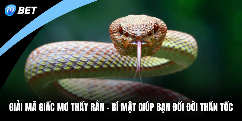 Giải Mã Giấc Mơ Thấy Rắn - Bí Mật Giúp Bạn Đổi Đời Thần Tốc