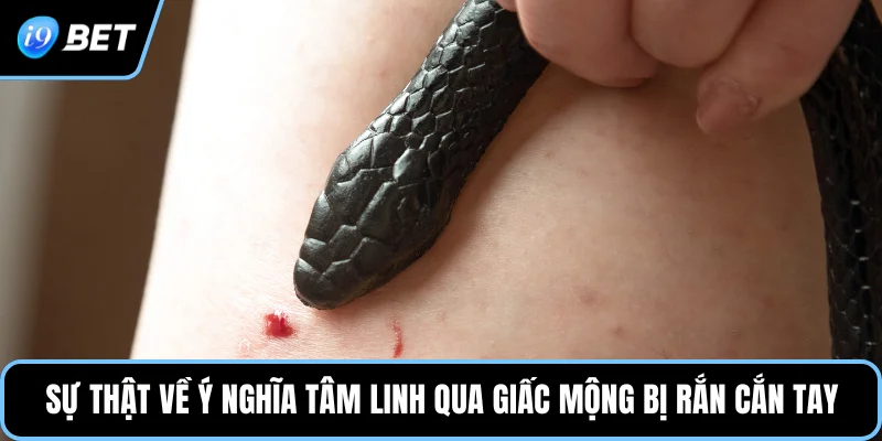 Ý nghĩa tâm linh của giấc mộng bị rắn tấn công vào tay